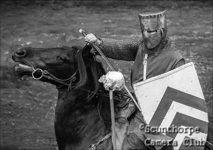 Cabbage Jousting 